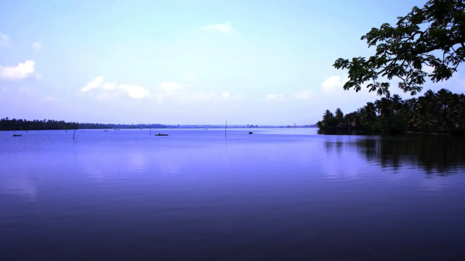 Kerala — where Abin Antony's India clients are based