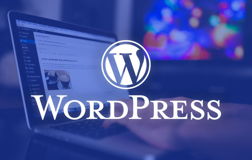freelance wordpress development
